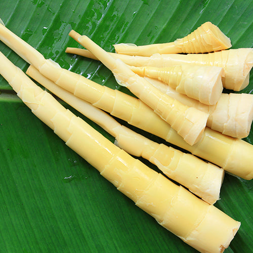 Bamboo Shoot Health Results
