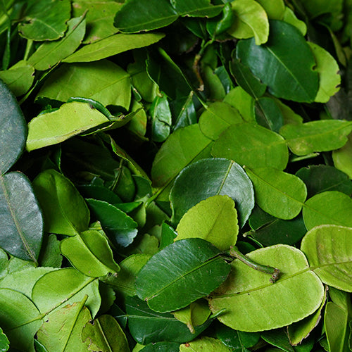 Kaffir Lime Leaves Health Results